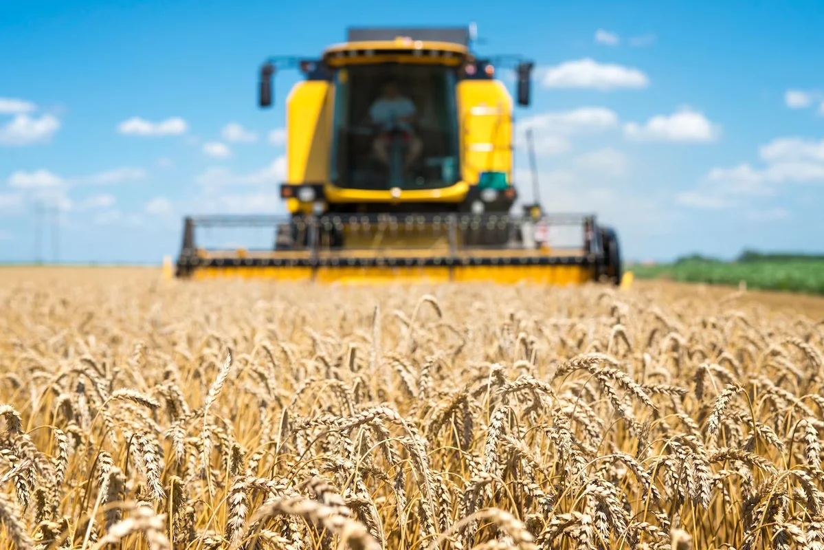 Agriculture Products